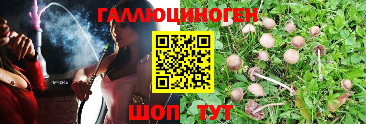 цены наркотик  Вход с VPN  Камень-на-Оби  Галлюциногенные грибы Cubensis 