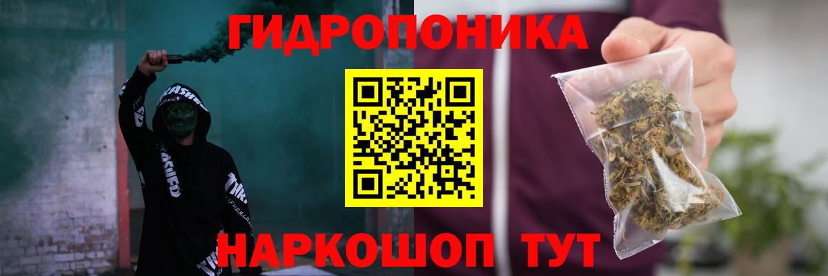 Каннабис тримм  Каннабис OG Kush  Конопля конопля  Вход с VPN  Марихуана Amnesia  Камень-на-Оби 